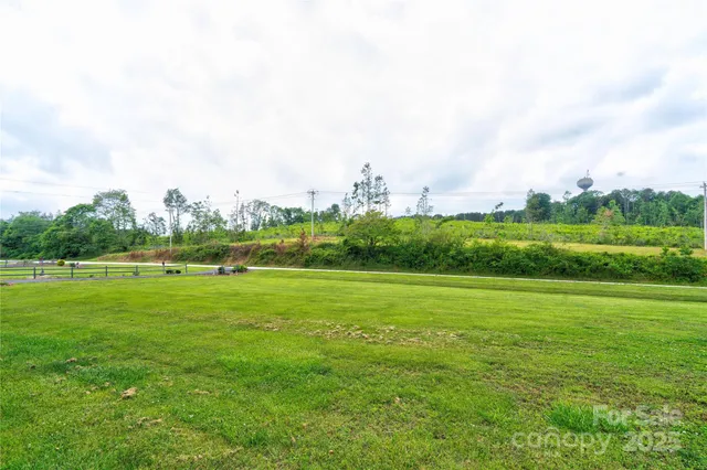 a view of a big yard with a large trees