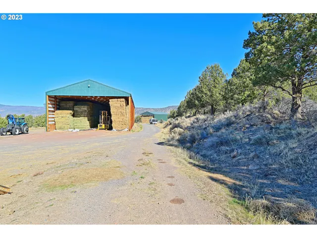 a view of a backyard with plants