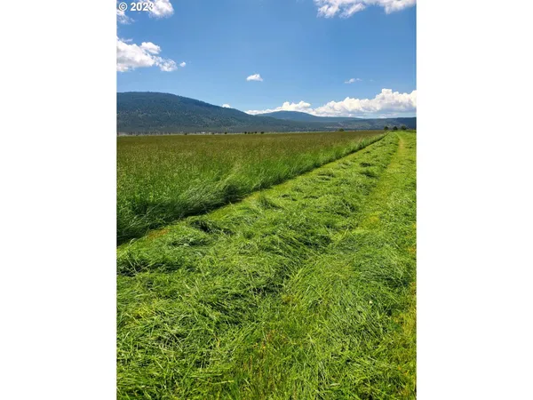 $8,942,000 | Mitchell Road, Dairy, OR 97625