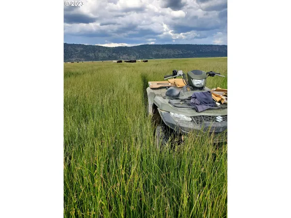 $8,942,000 | Mitchell Road, Dairy, OR 97625