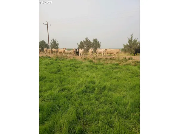 $8,942,000 | Mitchell Road, Dairy, OR 97625