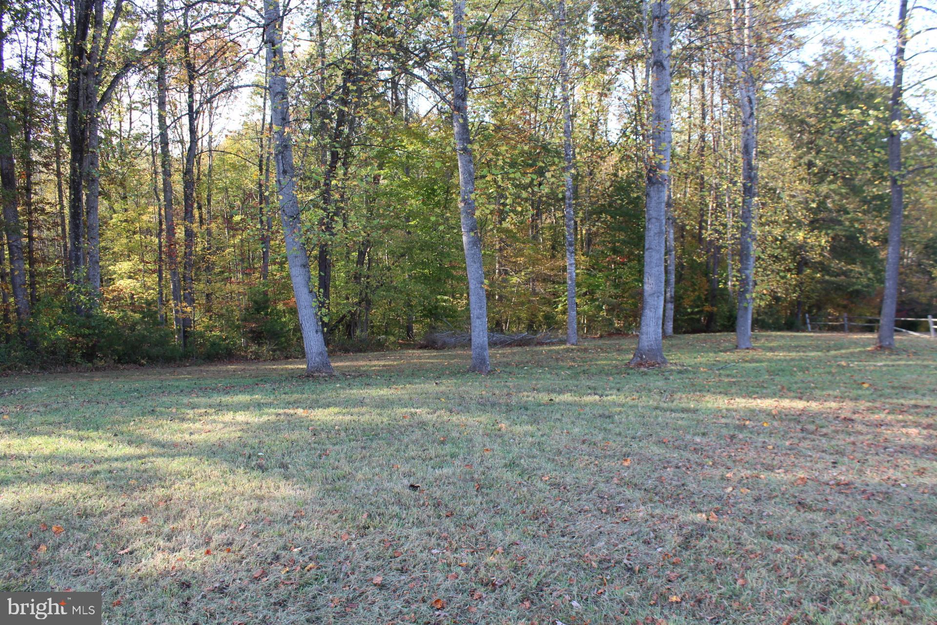5274 Burr Hill Road Rhoadesville, VA 22542 - Photo 45 of 66 a view of a tree in a yard