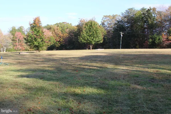 a house with lots of trees