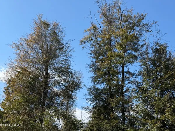 $37,000 | 3 Appalachee Trail, Marianna, FL 32446