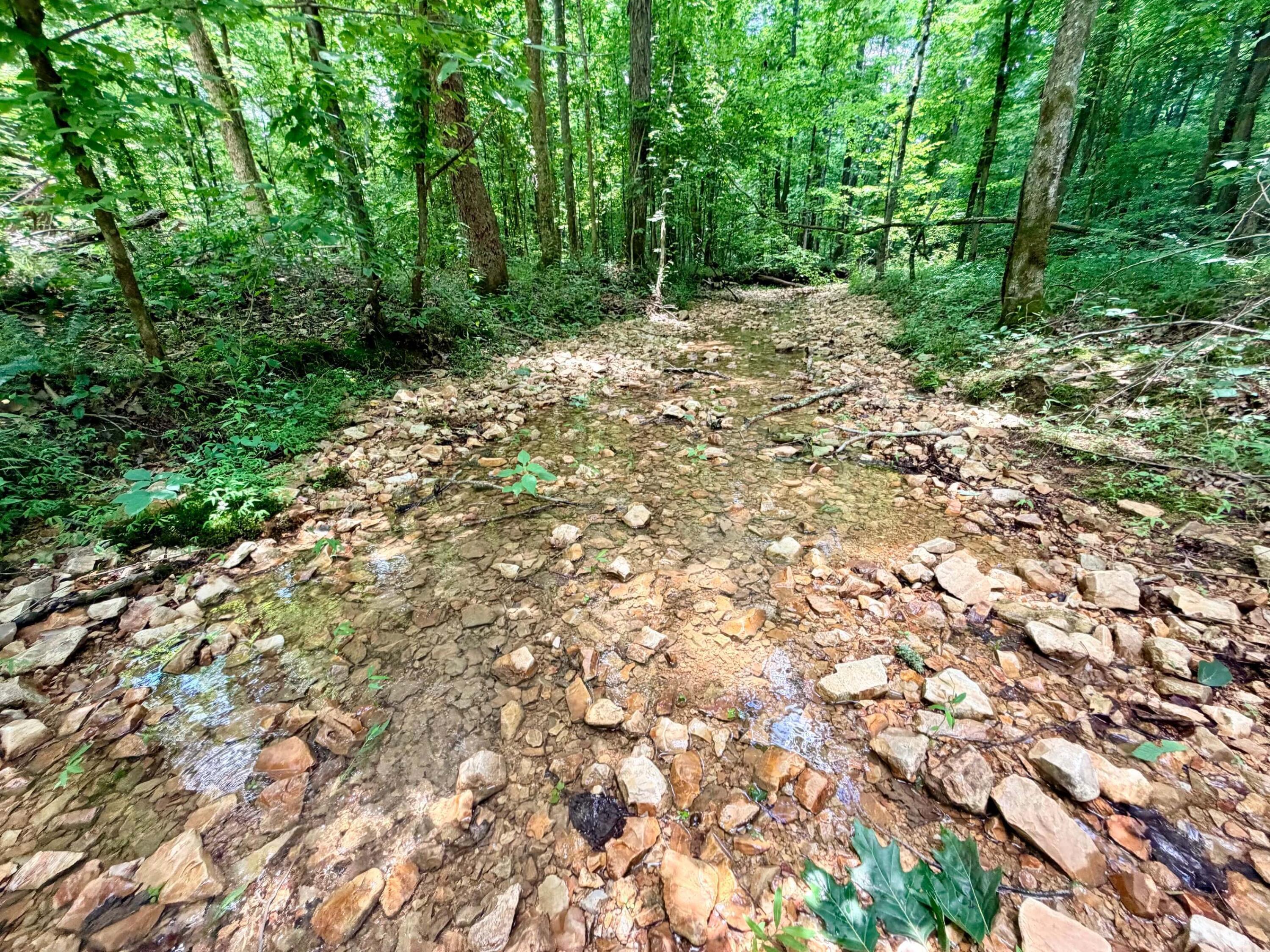 17906 Birdsong Road Holladay, TN 38341 - Photo 32 of 50 Gallery Image 32