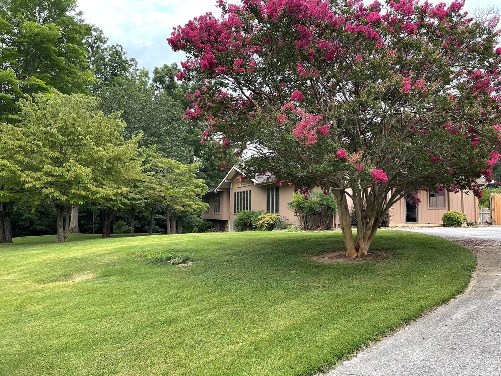 1616 Golf Course Road Newport, TN 37821 - Photo 26 of 38 Gallery Image 26