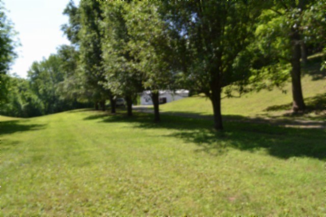 318 Rock Springs Road Celina, TN 38551 - Photo 54 of 87 a view of an outdoor space and a yard