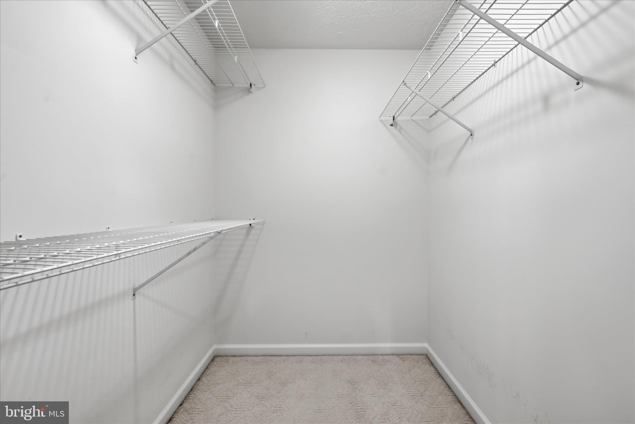 237 Asbury Road Winchester, VA 22602 - Photo 15 of 41 Primary Walk in Closet