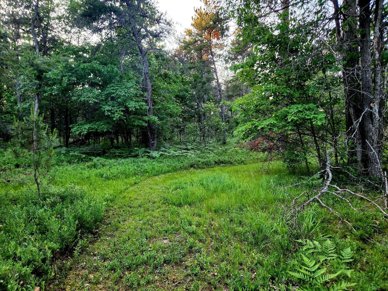 2498 West 5 Mile Road Grayling, MI 49738 - Photo 32 of 41