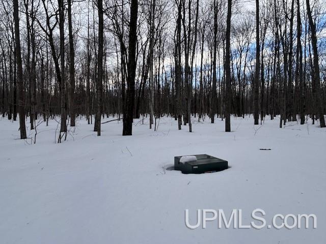53554 North Superior Road Houghton, MI 49931 - Photo 25 of 41