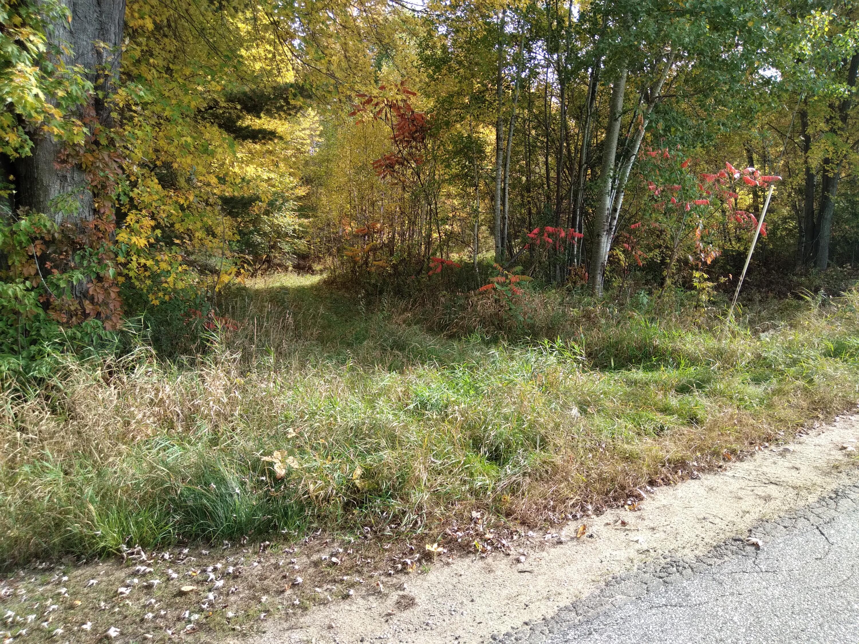 0 Mc Neil Road Fryeburg, ME 04037 - Photo 1 of 19 McNeil photo 1