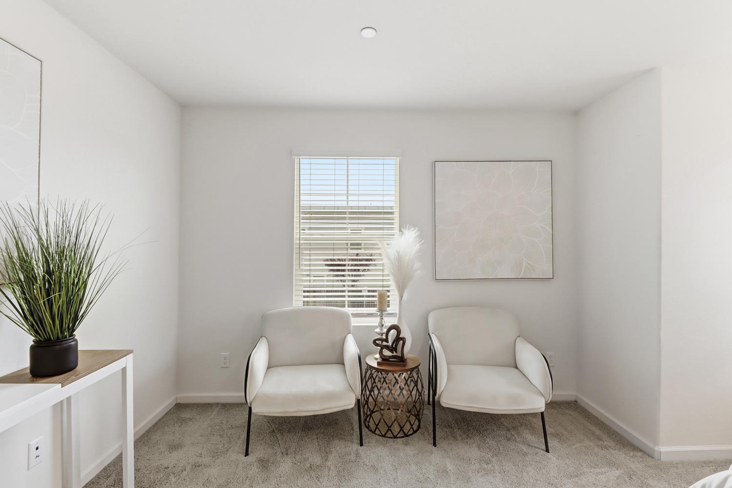 8900 Sheldon Terrace Lane Elk Grove, CA 95758 - Photo 29 of 57 a living room with furniture and a potted plant