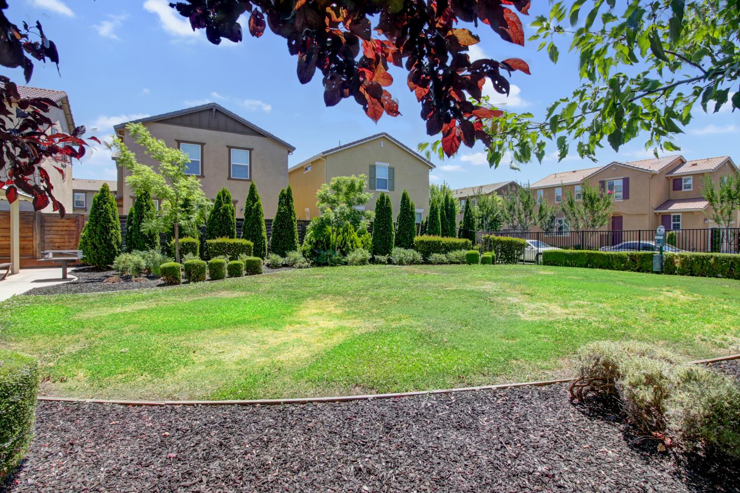8900 Sheldon Terrace Lane Elk Grove, CA 95758 - Photo 55 of 57 a front view of a house with a garden