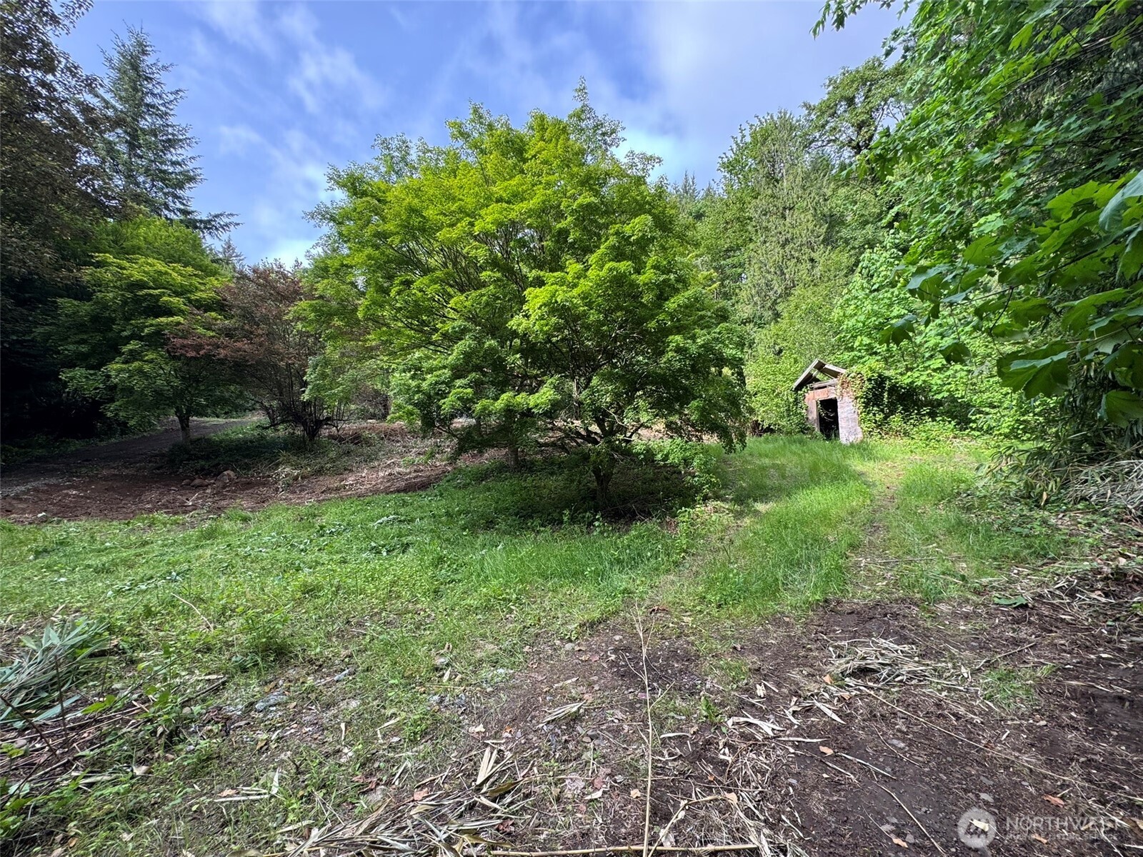 5532 Lewis River Road Ariel, WA 98603 - Photo 5 of 10