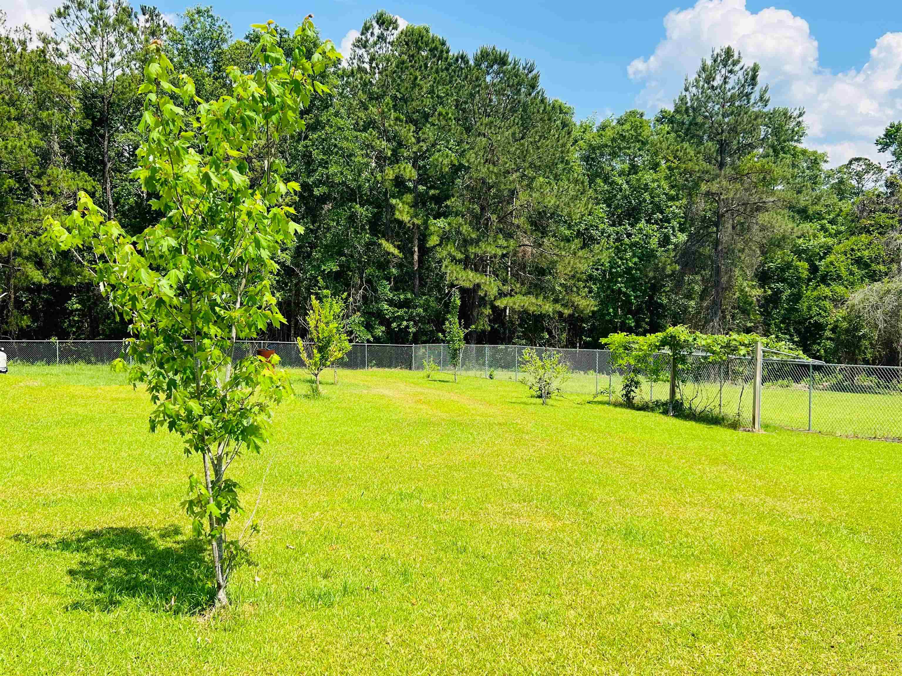 7860 Cliffs Landing Road Bay Minette, AL 36507 - Photo 45 of 45