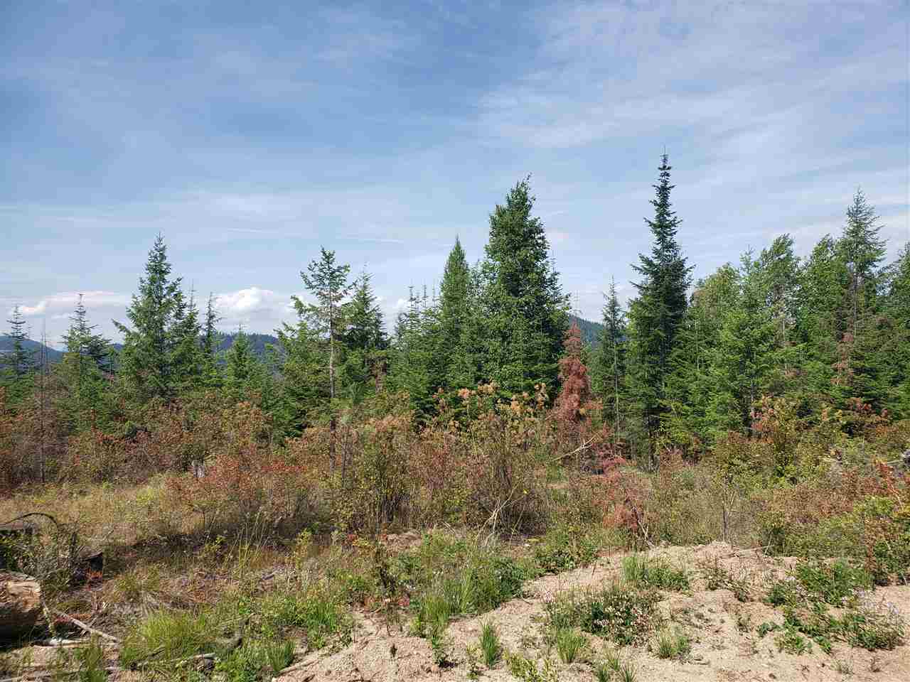 1301 Thompson Road Elk, WA 99009 - Photo 2 of 5 Gallery Image 2