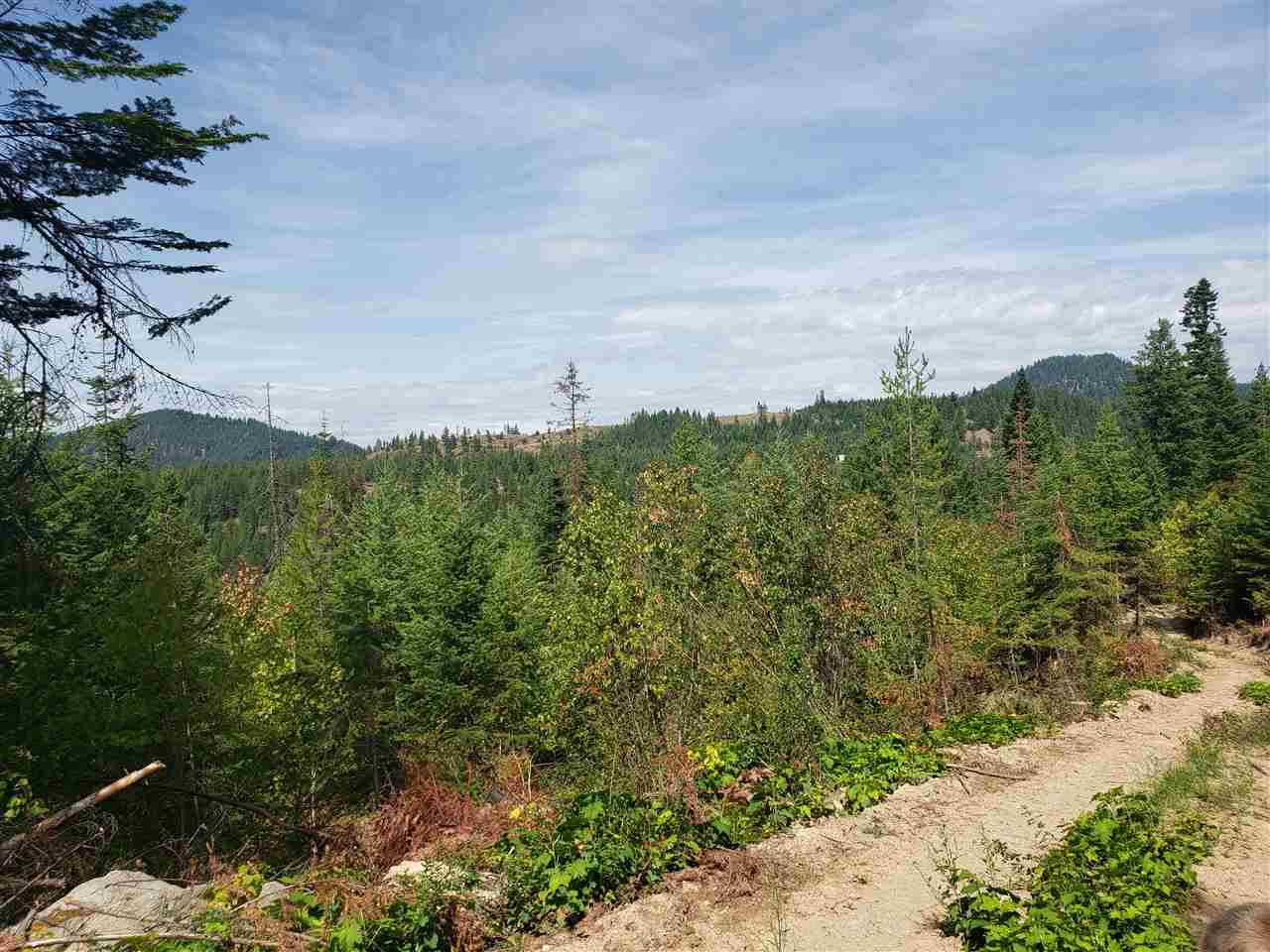 1301 Thompson Road Elk, WA 99009 - Photo 3 of 5 Gallery Image 3