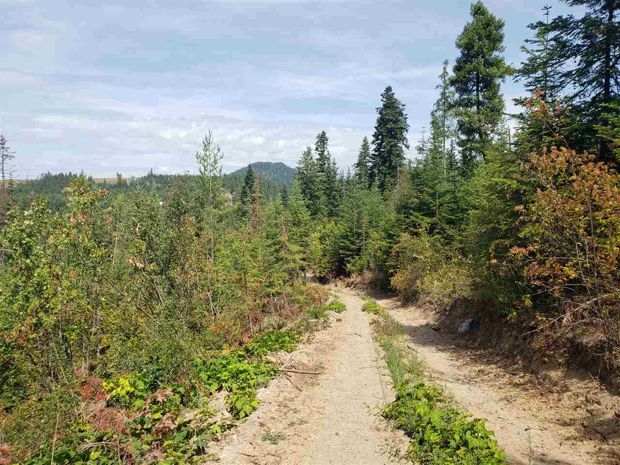1301 Thompson Road Elk, WA 99009 - Photo 4 of 5 Gallery Image 4