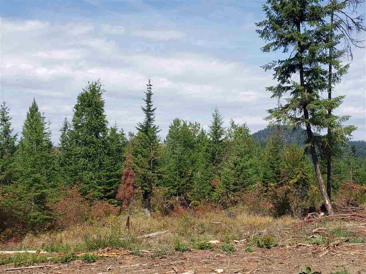 1301 Thompson Road Elk, WA 99009 - Photo 5 of 5 Gallery Image 5