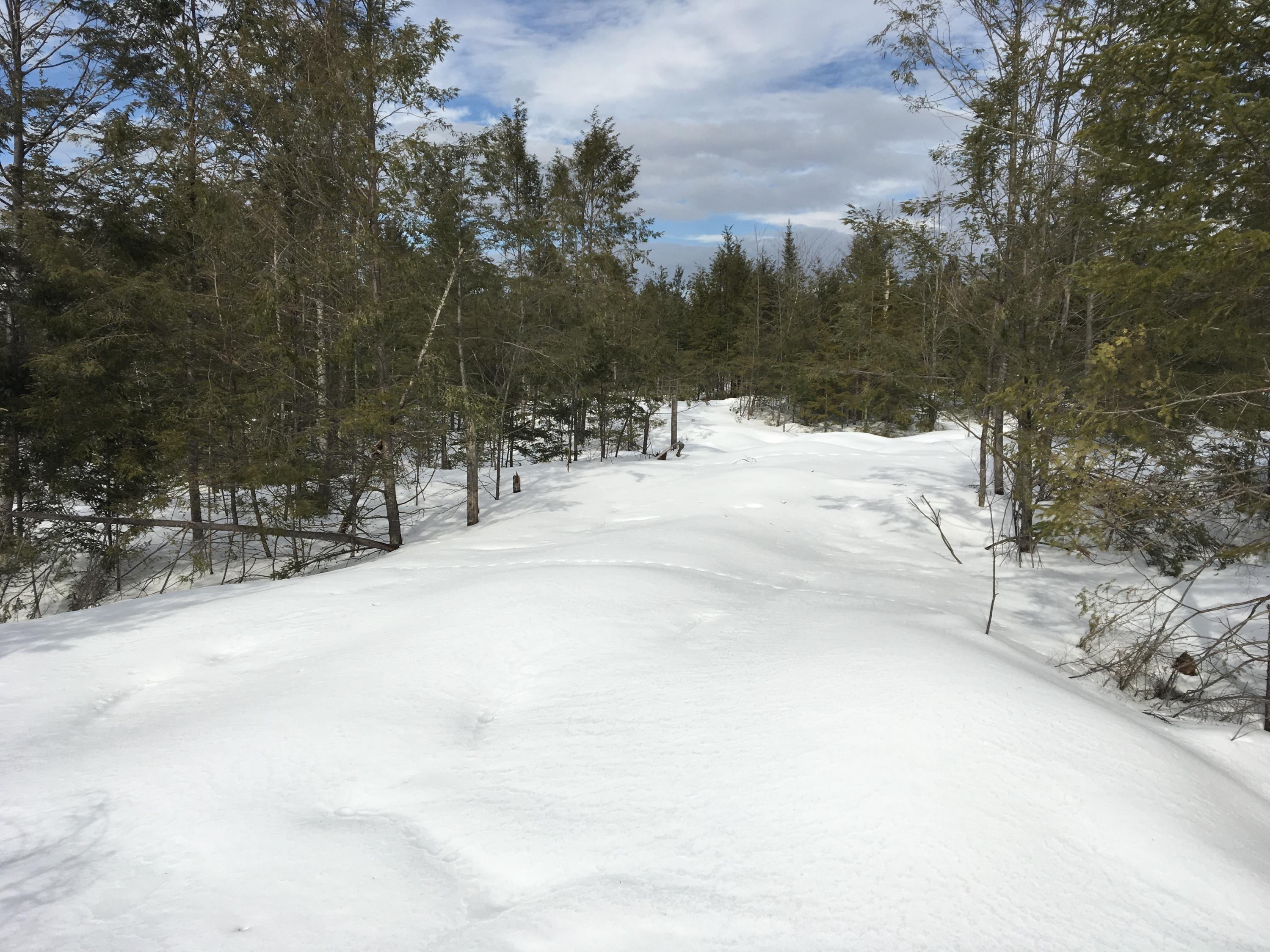 Lot 23 Burough Road Dover-Foxcroft, ME 04426 - Photo 9 of 15 Photo Feb 05, 12 15 19 PM