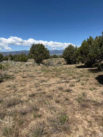 15 Old Highway 89, Unit 15 Spring City, UT 84662 - Photo 2 of 9