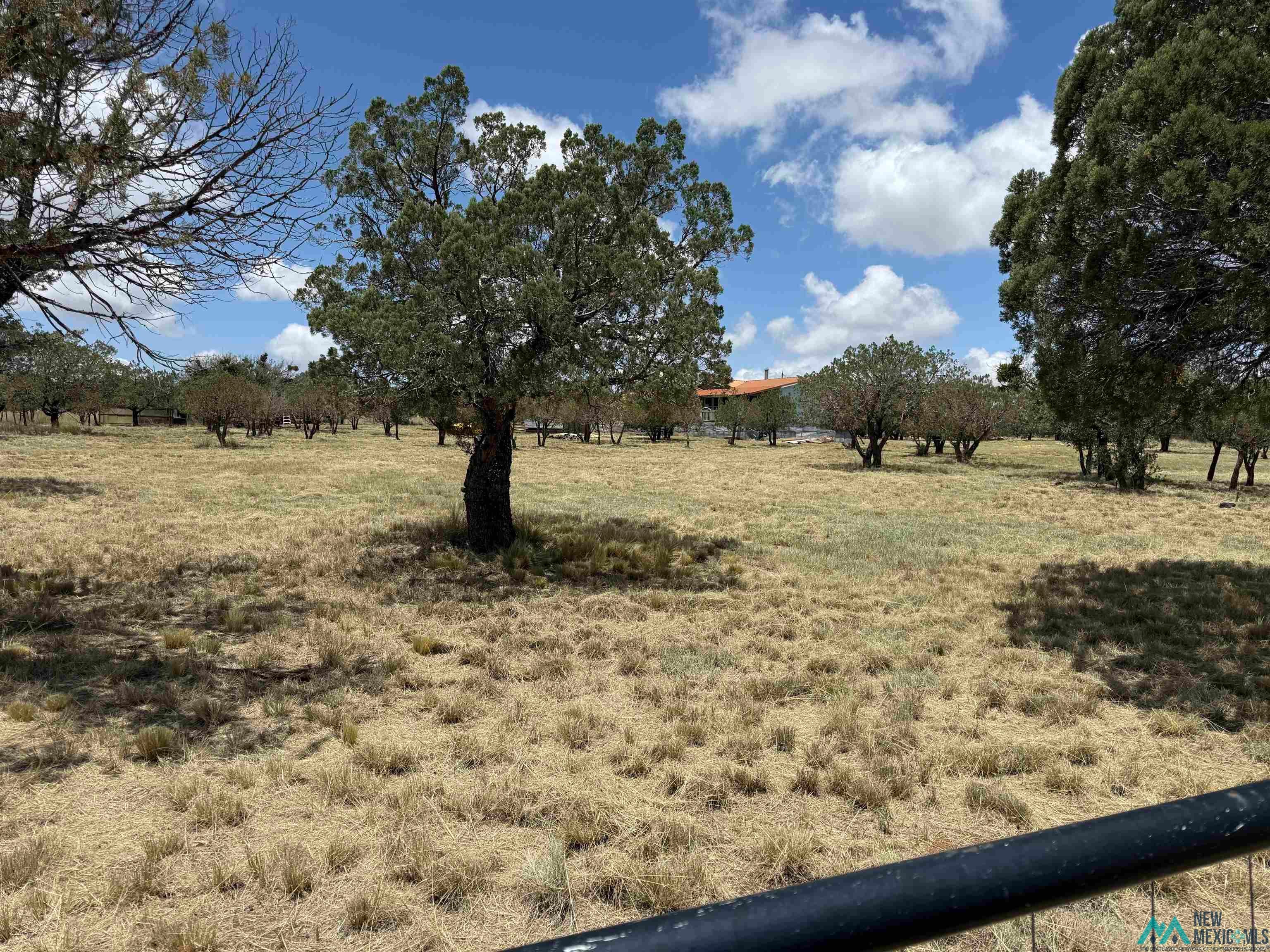 65 Ridge Road Carlsbad, NM 88220 - Photo 32 of 35 Gallery Image 32