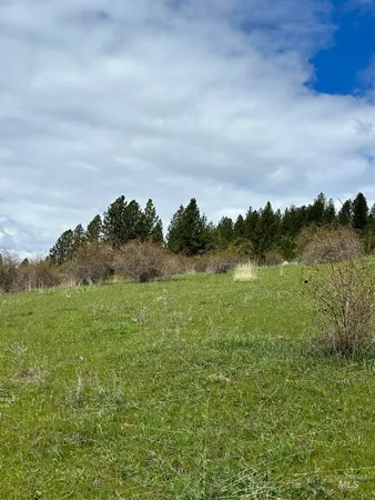 $525,000 | Tbd Llama Lane, Kamiah, ID 83536