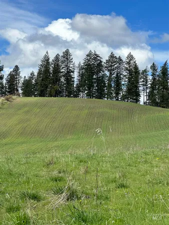 $525,000 | Tbd Llama Lane, Kamiah, ID 83536