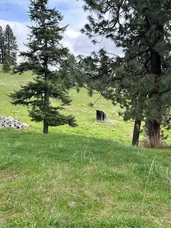 $525,000 | Tbd Llama Lane, Kamiah, ID 83536