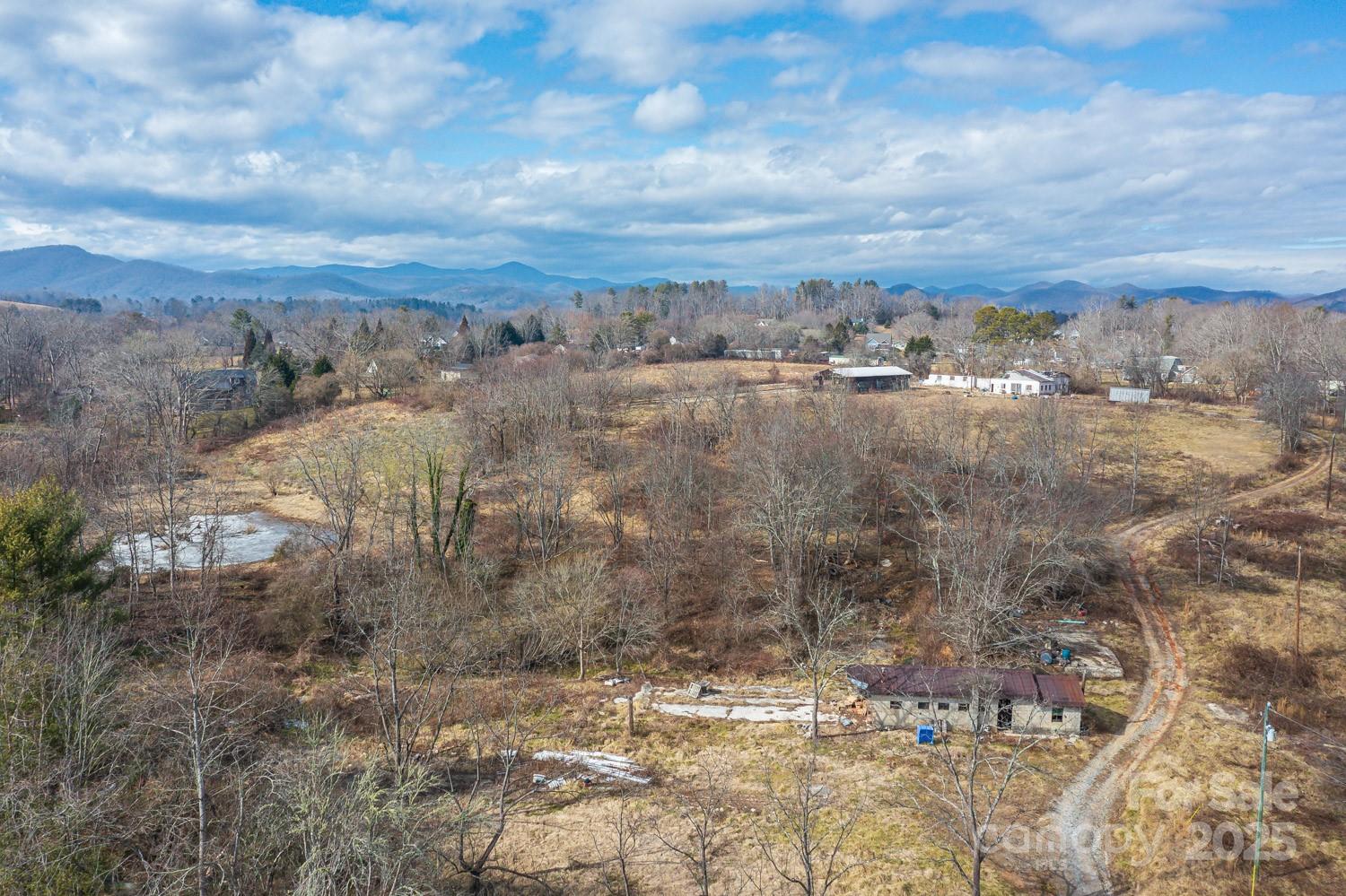 0 Ladson Road Horse Shoe, NC 28742 - Photo 4 of 11 a view of a dry yard