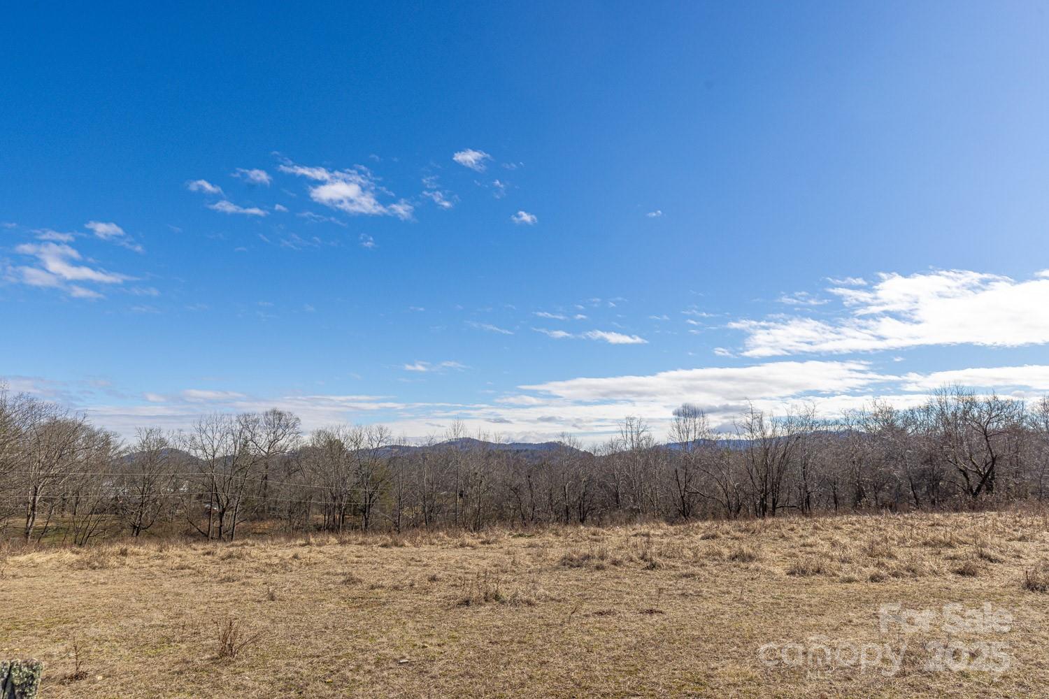 0 Ladson Road Horse Shoe, NC 28742 - Photo 8 of 11 a view of mountain with sunset view
