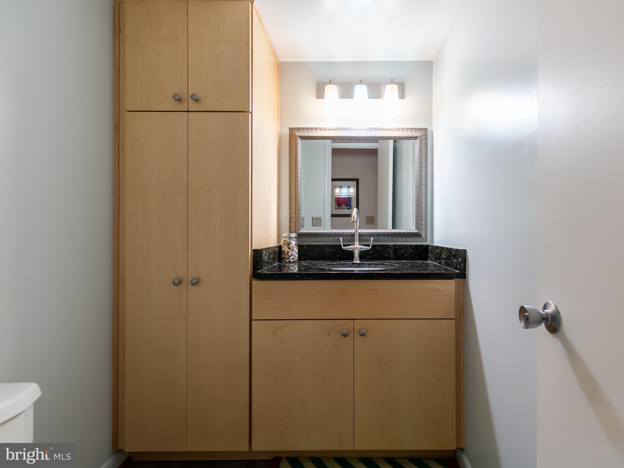 1960 Winterport Cluster Reston, VA 20191 - Photo 11 of 29 a bathroom with a sink and a mirror