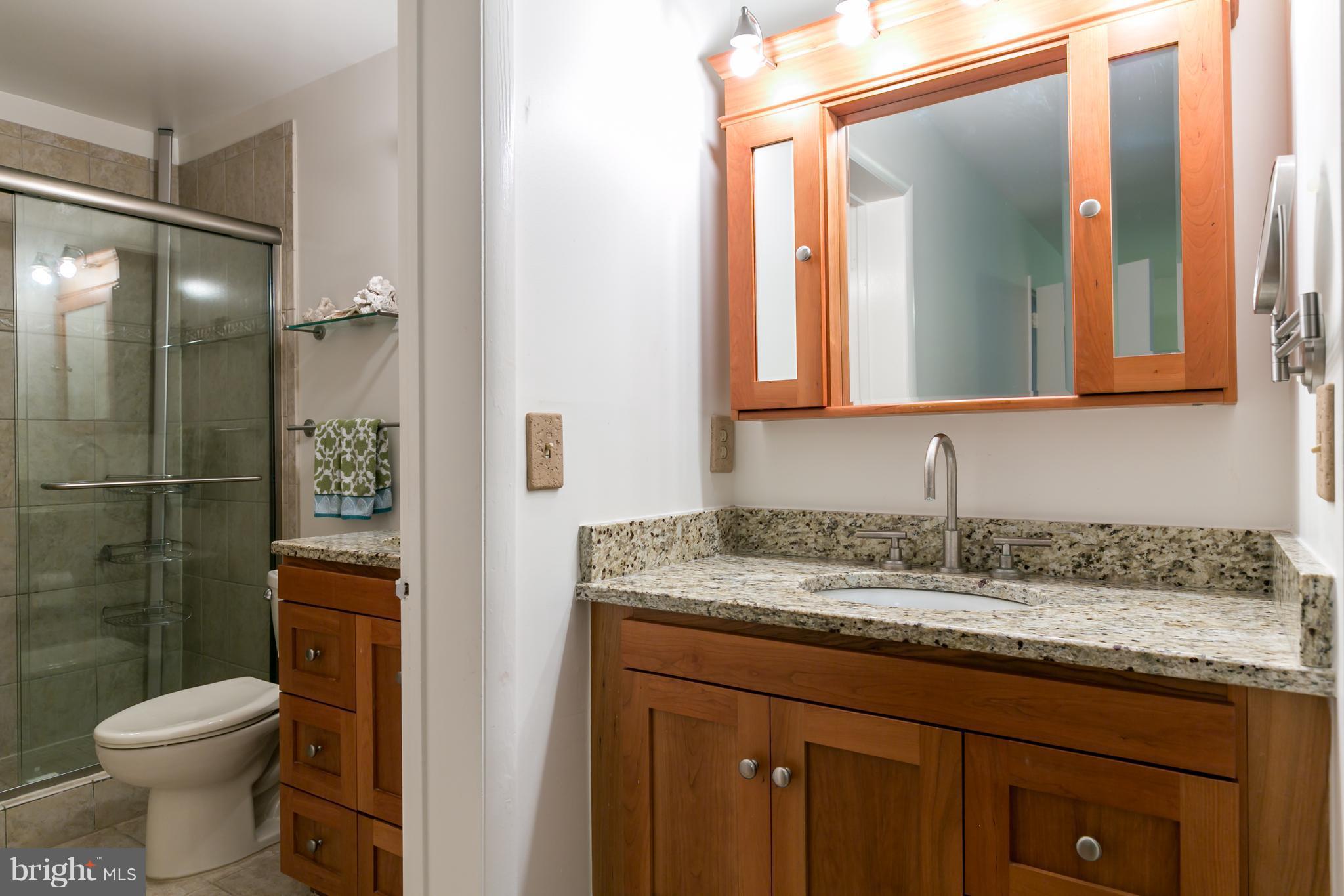 1960 Winterport Cluster Reston, VA 20191 - Photo 13 of 29 a bathroom with a granite countertop sink toilet and shower