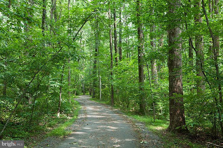 1960 Winterport Cluster Reston, VA 20191 - Photo 26 of 29 a view of outdoor space and green space