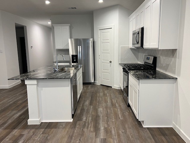 1006 Perezia Court Rosharon, TX 77583 - Photo 5 of 21 Plenty of Cabinet and Garden Sink