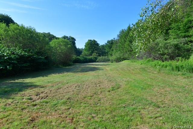 609 Grooville Road Livingston Manor, NY 12758 - Photo 35 of 38