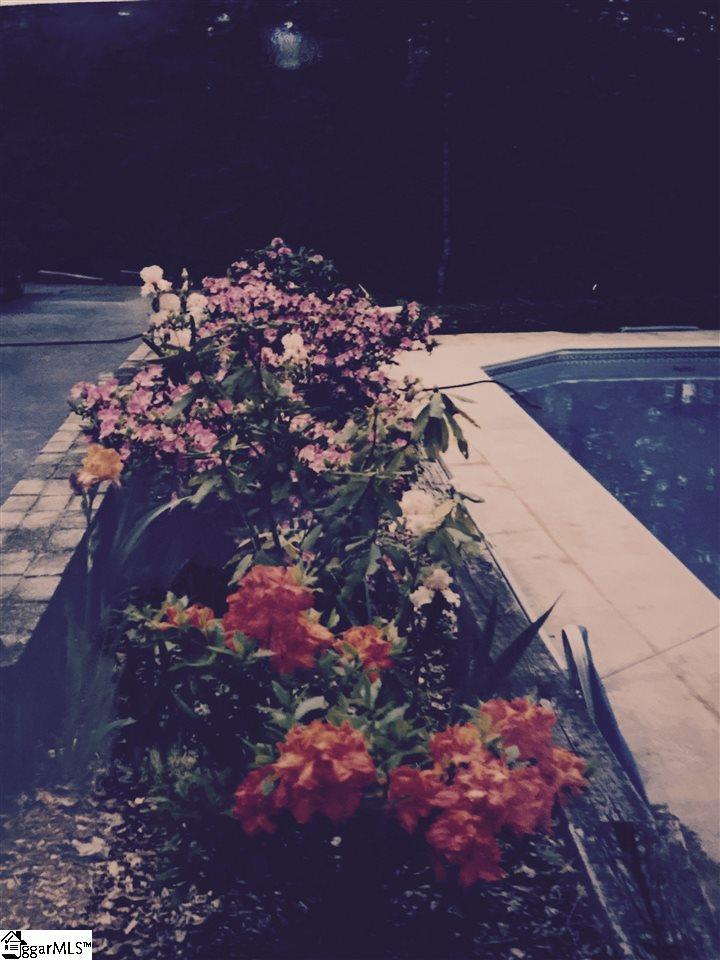 1015 Moody Bridge Road Marietta, SC 29661 - Photo 24 of 35 Gallery Image 24