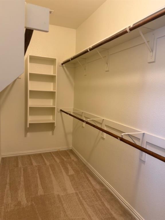 4119 Nia Drive Irving, TX 75038 - Photo 11 of 15 Spacious closet with light colored carpet