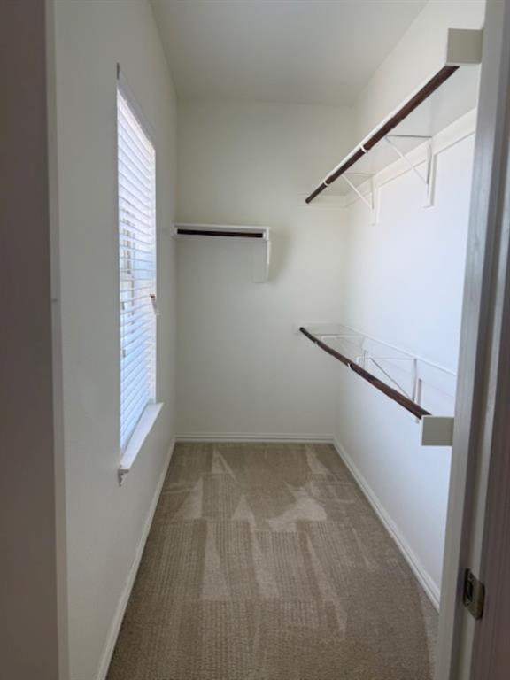 4119 Nia Drive Irving, TX 75038 - Photo 12 of 15 Walk in closet with light carpet