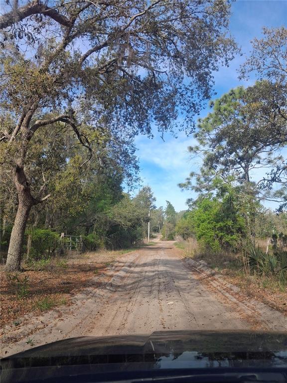 7841 Southwest 152nd Place Dunnellon, FL 34432 - Photo 30 of 33