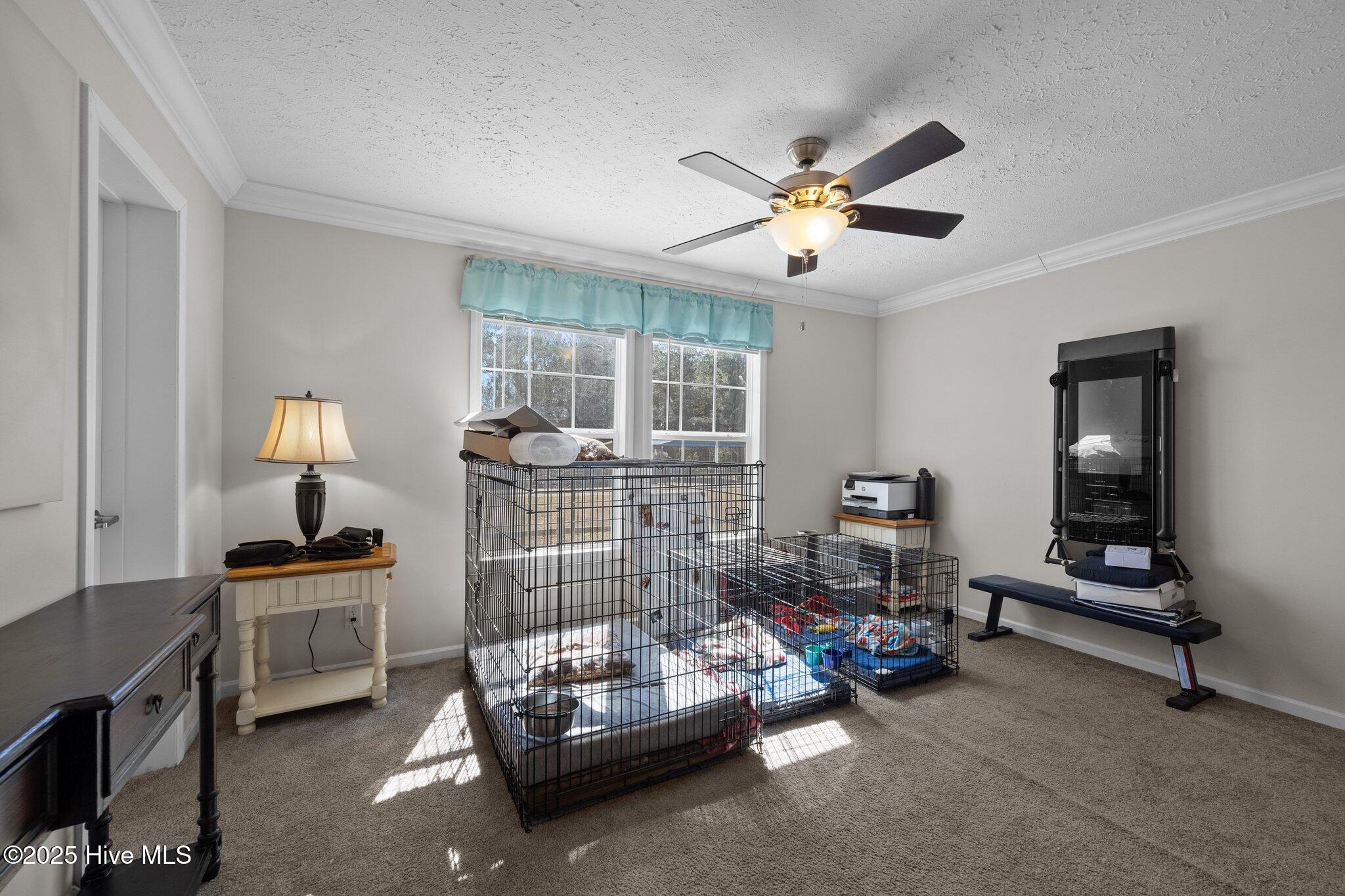 358 Tar Landing Road Holly Ridge, NC 28445 - Photo 30 of 56 33-web-or-mls-03