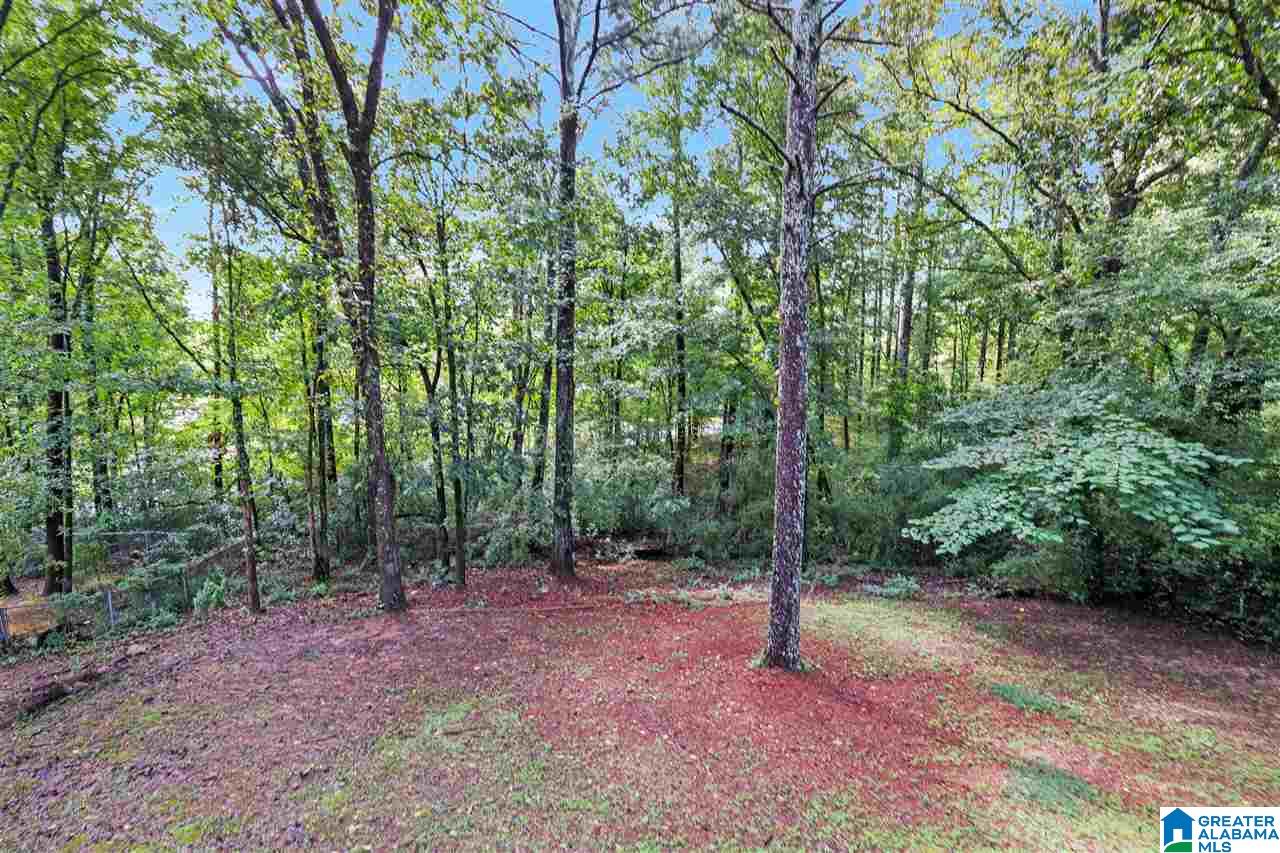 3110 3rd Street Northeast Center Point, AL 35215 - Photo 3 of 11