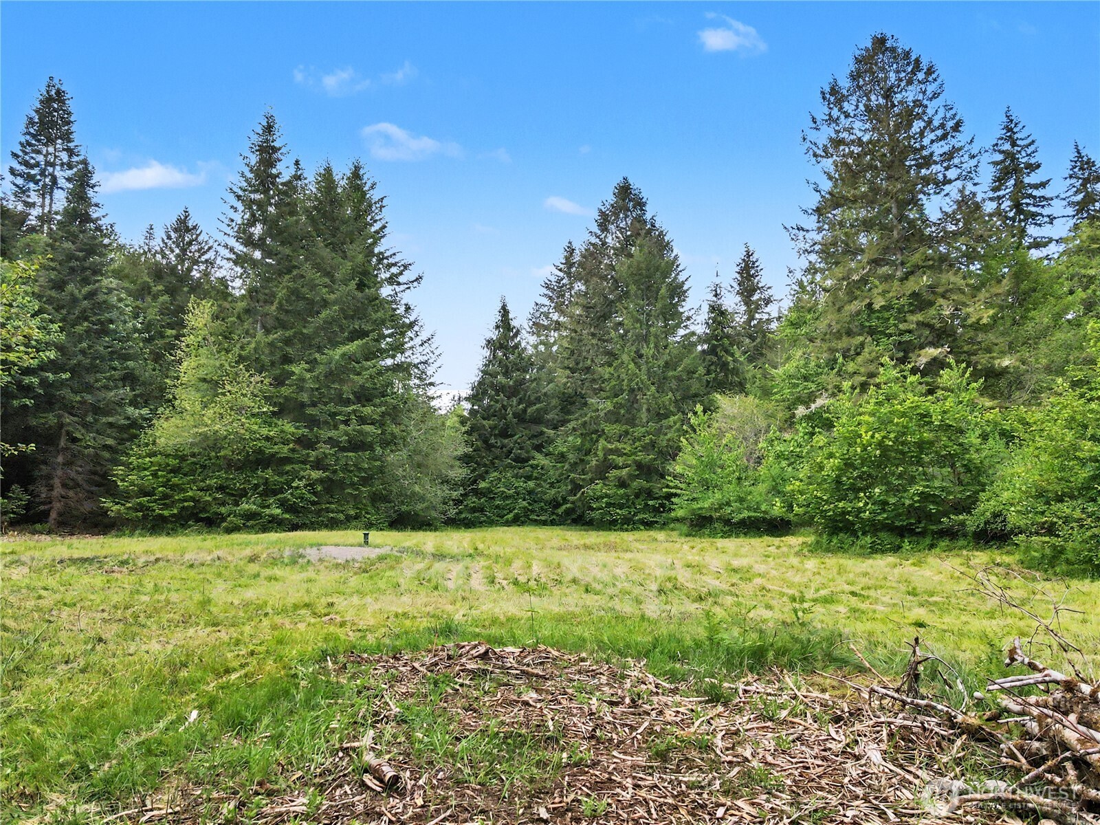 0 Wildwood Road Quilcene, WA 98376 - Photo 23 of 36