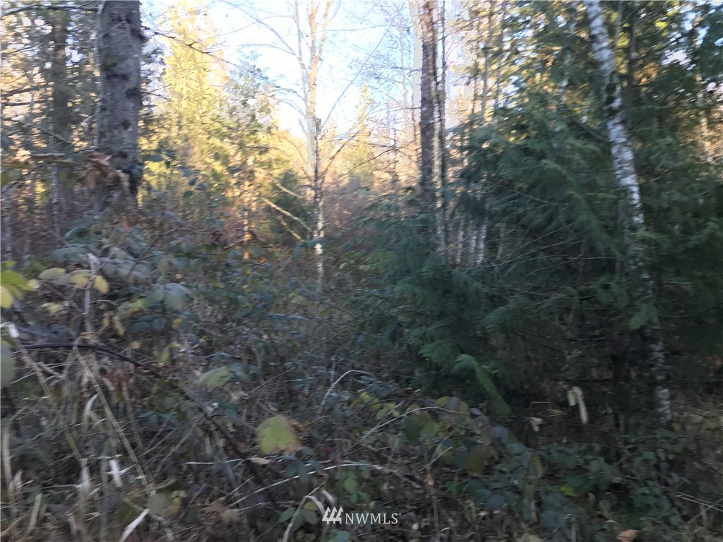 30000 Thomas Road Southeast Covington, WA 98042 - Photo 8 of 13