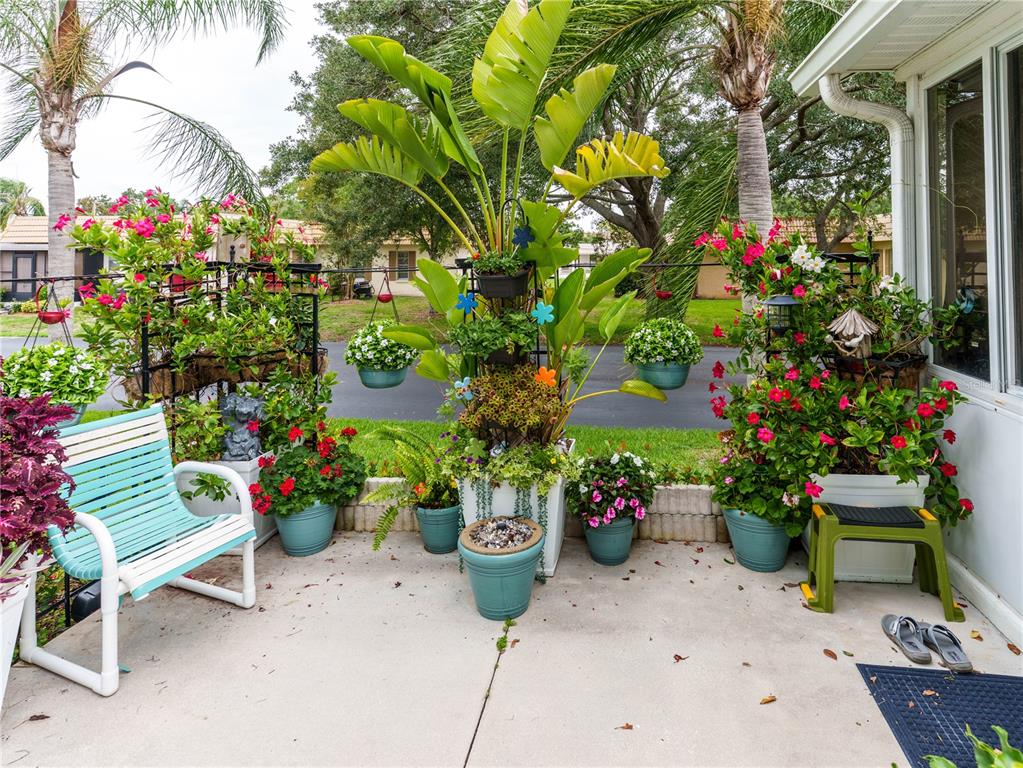 9234 Santa Monica Way New Port Richey, FL 34655 - Photo 3 of 49