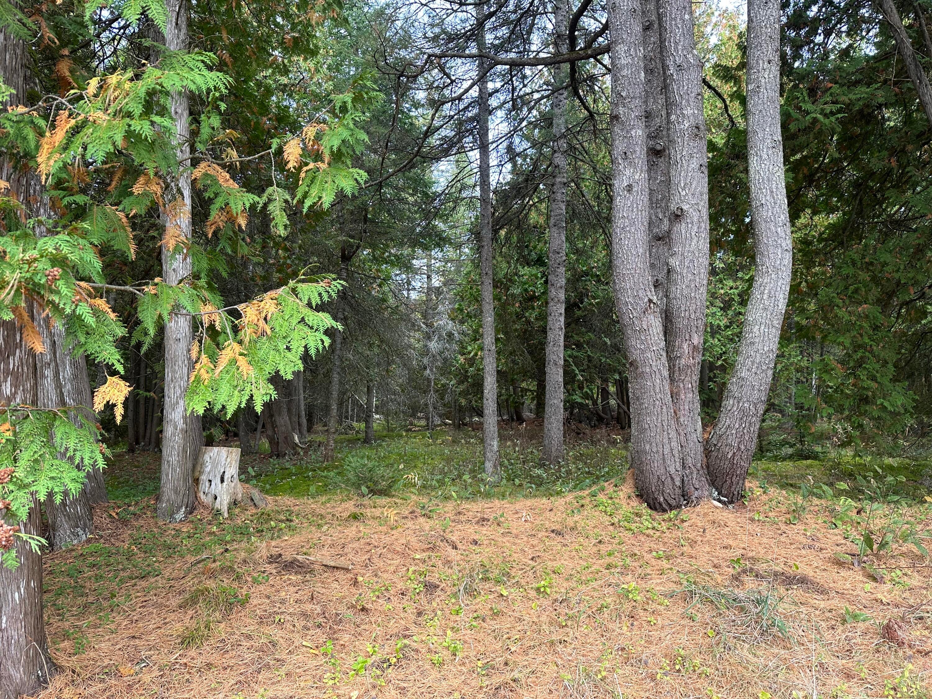 1634 Gros Cap Road St. Ignace, MI 49781 - Photo 8 of 10 Gallery Image 8