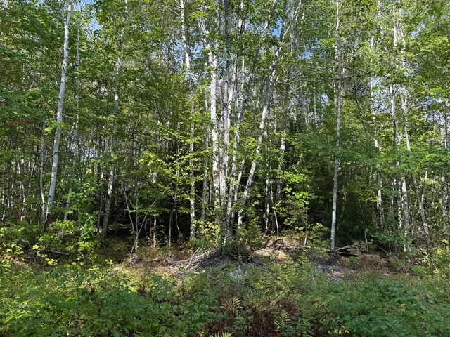 $59,900 | Lot 95 Moose Trail Drive, Ellsworth, ME 04605