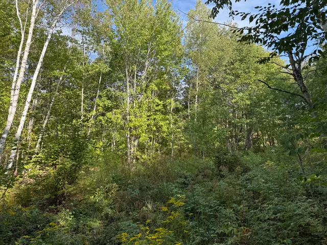 $59,900 | Lot 95 Moose Trail Drive, Ellsworth, ME 04605