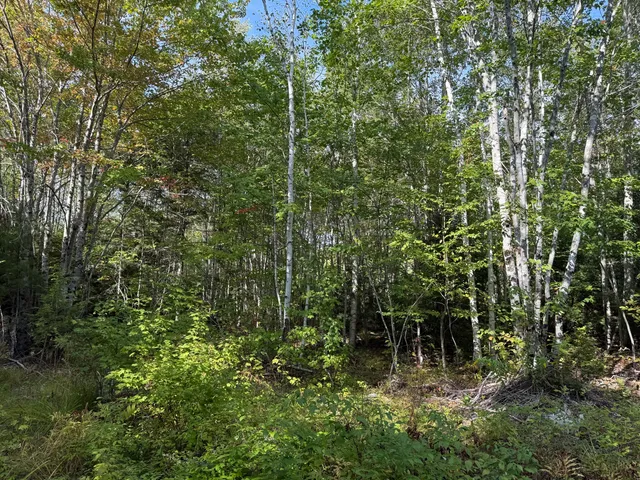 $59,900 | Lot 95 Moose Trail Drive, Ellsworth, ME 04605