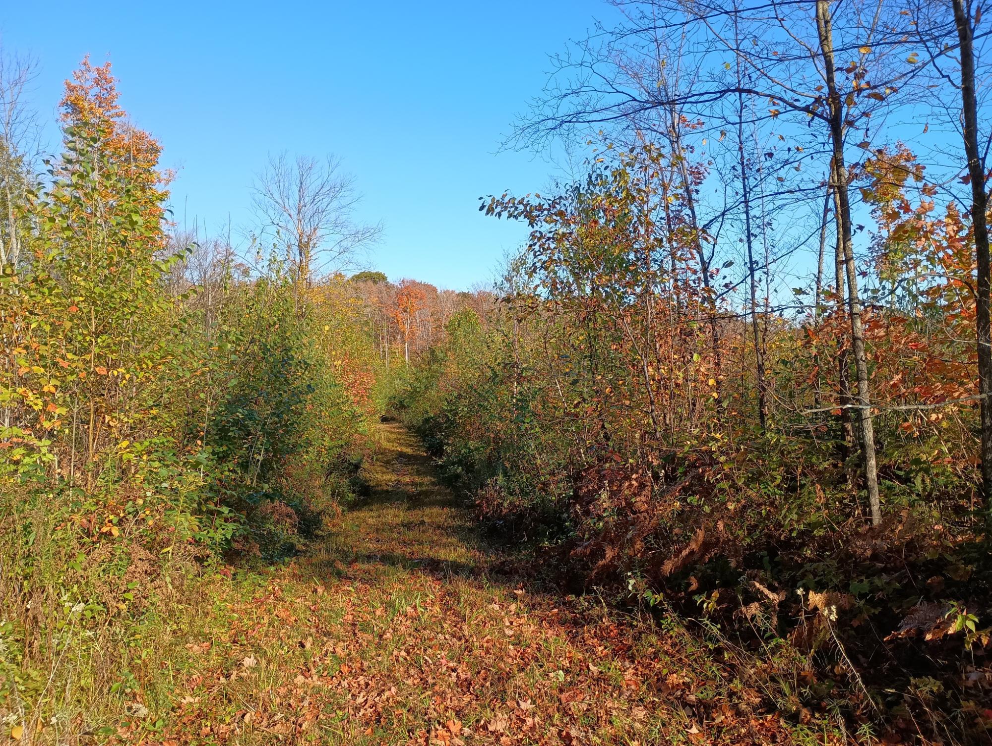 On Kornstead Road, Unit 80 AC Mellen, WI 54546 - Photo 15 of 32 Gallery Image 15